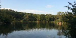 Beitragsbild des Blogbeitrags Schöne Teiche und Seen in Wien zum Spazierengehen 