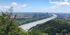 Beitragsbild des Blogbeitrags Programmvorschau für den Juli in Wien