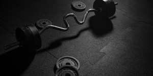 Beitragsbild des Blogbeitrags Die besten Fitnessstudios in Wien