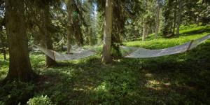 Beitragsbild des Blogbeitrags Wo ihr in Österreich waldbaden könnt