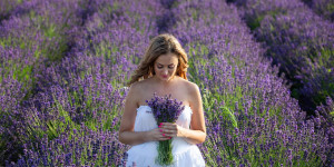 Beitragsbild des Blogbeitrags Lavendel-Rausch: Wo ihr euch in Österreich fühlt wie in der Provence 
