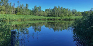 Beitragsbild des Blogbeitrags Wiener Stadtwanderwege 