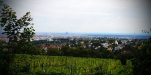 Beitragsbild des Blogbeitrags Was ihr im September in Wien machen könnt