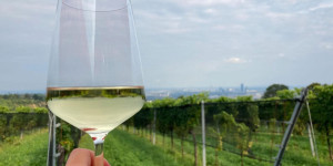 Beitragsbild des Blogbeitrags Was ihr im September in Wien machen könnt – Teil 2