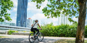 Beitragsbild des Blogbeitrags Die schönsten Radtouren in Wien im Herbst