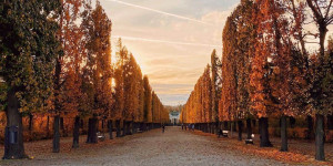 Beitragsbild des Blogbeitrags 10 Dinge, die man im Herbst in Wien machen muss