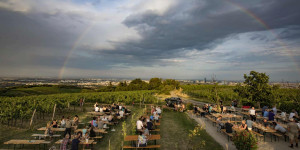 Beitragsbild des Blogbeitrags Unsere liebsten Buschenschenken in Wien
