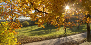 Beitragsbild des Blogbeitrags Herbstliche Ausflugstipps im Wienerwald