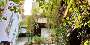 Beitragsbild des Blogbeitrags Die schönsten Grätzel-Hotspots in Wien