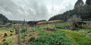 Beitragsbild des Blogbeitrags Permakultur-Projekt Edelsgraben: „Die Biodiversitätskrise ist so gefährlich wie der Klimawandel“