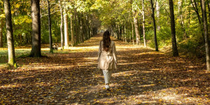 Beitragsbild des Blogbeitrags Spaziergänge im Herbst: 5 magische Routen in und bei Wien