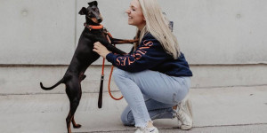 Beitragsbild des Blogbeitrags Österreichische Shops, die dich mit ausgefallenen Hunde-Accessoires versorgen