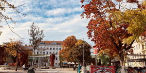 Beitragsbild des Blogbeitrags Unser Grätzel-Guide für den Yppenplatz