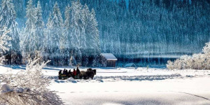 Beitragsbild des Blogbeitrags Die schönsten winterlichen Pferdeschlittenfahrten in Österreich 