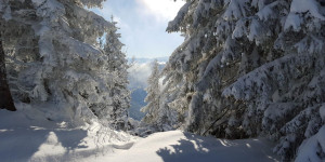 Beitragsbild des Blogbeitrags 7 idyllische Winterwanderungen in Tirol