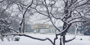 Beitragsbild des Blogbeitrags Die schönsten Parks in Wien