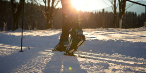 Beitragsbild des Blogbeitrags Die besten Orte zum Langlaufen in Österreich 