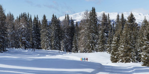 Beitragsbild des Blogbeitrags Traumhafte Orte zum Winterwandern in Österreich 