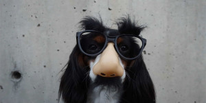 Beitragsbild des Blogbeitrags Die buntesten Faschingspartys in Wien