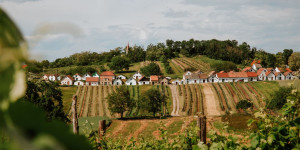 Beitragsbild des Blogbeitrags Was ihr bei einer Kellergassenführung im Weinviertel erleben könnt