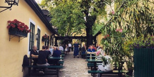 Beitragsbild des Blogbeitrags Unsere liebsten Heurigen in Ottakring
