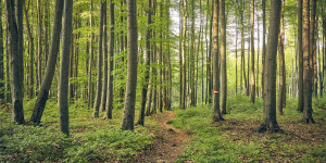 Beitragsbild des Blogbeitrags 12 Dinge, die ihr im Wienerwald machen solltet 