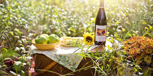 Beitragsbild des Blogbeitrags Wo ihr im Weinviertel tolle Picknickkörbe bekommt