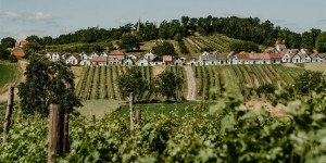 Beitragsbild des Blogbeitrags Die schönsten Kellergassen in Österreich