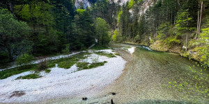 Beitragsbild des Blogbeitrags 1000things Wandertipp: 1. Wiener Wasserleitungsweg 