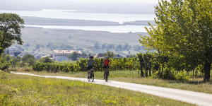 Beitragsbild des Blogbeitrags Urlaub am Neusiedler See: Unsere sommerlichen Tipps für die Region