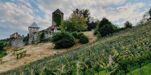 Beitragsbild des Blogbeitrags Was ihr im Urlaub in der Südsteiermark machen könnt – außer Wein trinken 