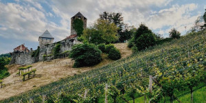 Beitragsbild des Blogbeitrags Was ihr im Urlaub in der Südsteiermark machen könnt – außer Wein trinken