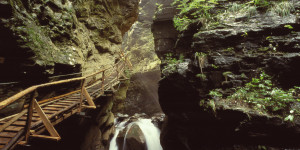 Beitragsbild des Blogbeitrags Eure Lieblinge zum Wandern in Österreich