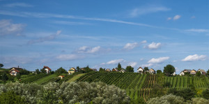 Beitragsbild des Blogbeitrags 11 Dinge, die du im Südburgenland unternehmen musst