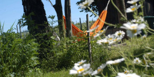 Beitragsbild des Blogbeitrags Eure liebsten Heurigen in Österreich