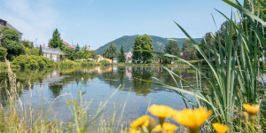 Beitragsbild des Blogbeitrags Gewinne einen Familienurlaub im 4-Sterne-Hotel in der Steiermark