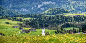 Beitragsbild des Blogbeitrags 8 Tipps für den Sommerurlaub im Bregenzerwald 