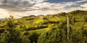 Beitragsbild des Blogbeitrags Tolle Buschenschenken in der Steiermark, die du besuchen solltest 