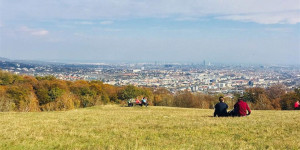 Beitragsbild des Blogbeitrags 6 tolle Aktivitäten mit Kindern im Herbst in Wien