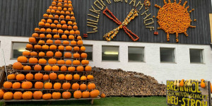 Beitragsbild des Blogbeitrags Die coolsten Veranstaltungen in Österreich im Oktober