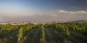 Beitragsbild des Blogbeitrags Weekend-Preview: Die coolsten Events am Wochenende in Wien
