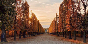 Beitragsbild des Blogbeitrags 10 Dinge, die man im Herbst in Wien machen muss 