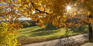 Beitragsbild des Blogbeitrags Ausflugstipps für den Herbst im Wienerwald 