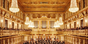 Beitragsbild des Blogbeitrags Kultur in Wien günstig genießen
