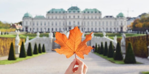 Beitragsbild des Blogbeitrags Das perfekte verlängerte Allerheiligen-Wochenende in Wien