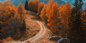 Beitragsbild des Blogbeitrags Tipps von Vorarlberg bis Salzburg: Herbstliche Ausflüge in den Bergen