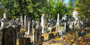 Beitragsbild des Blogbeitrags Lost Places: Verlassene Orte in Wien und Umgebung