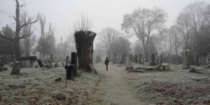 Beitragsbild des Blogbeitrags Unsere liebsten Spaziergänge bei Nebel in Wien 