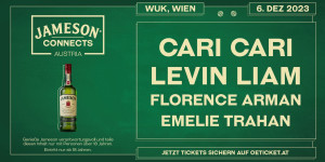 Beitragsbild des Blogbeitrags Gewinne 3×2 Tickets für das Jameson Connects Festival