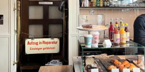 Beitragsbild des Blogbeitrags Neue Restaurants in Wien im November
